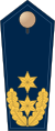 Blue epaulette with 2 golden stars and oak leaves