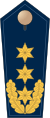 Blue epaulette with 3 golden stars and oak leaves