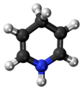 Ball-and-stick model of the dihydropyridine molecule