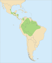 Northern Brazil stretching over into Bolivia, Peru, Colombia, Venezuela, Suriname, Guyana, and French Guiana. A second population lives on the coasts of Central America