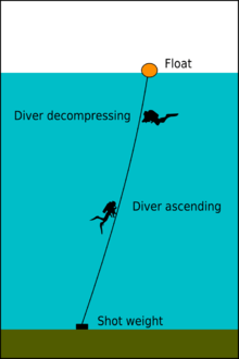diagram of a shot line showing the weight at the bottom and float at the surface connected by a rope, with a diver ascending along the line and another using the line as a visual reference for position while decompressing.