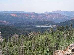 A photo of the view across Dixie National Forest from the Yankee Meadow Overlook