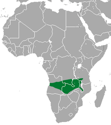 South-central Africa