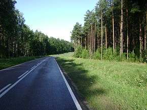 National road 58 in Poland. Photo taken in August 2009.