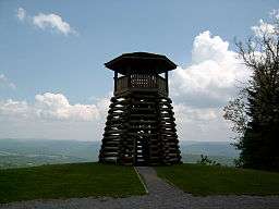 A wooden observation tower overlooking a forested valley.