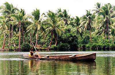 Man paddling a wooden dugout canoe on a flat lagoon surrounded by palm trees