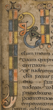 Colour photograph of the illustrated INI monogram from the Durham Gospel Fragment