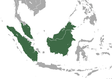 Malay peninsula, Sumatra, and Borneo