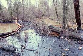 Water, trees and shrubs are covered with heavy black oil; a boom separates part of the creek from the spill