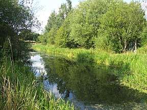 Greasbrough canal below the A633 culvert