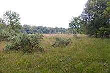 East Winch Common