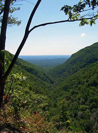 A narrow divide between two steep forest-covered mountainsides viewed from high above, with a tree, branches and leaves framing the view on the top and left. In the rear the land becomes flat, tinted blue at the horizon