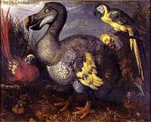 An oil painting depicting a red-feathered parrot with yellow wing tips; a large, ungainly, duck-like bird with grey, white and yellow feathers; a parrot with a black back, yellow breast and a yellow and black tail; and a brown-feathered bird with a long bill eating a frog.