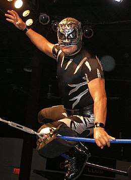 masked wrestler Pantera posing on the ring ropes before a match.