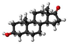 Ball-and-stick model of the epiandrosterone molecule