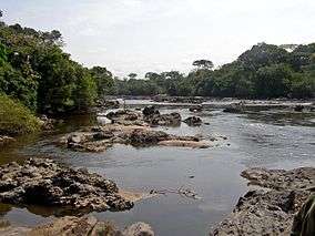 River lined by tropical vegetation. Many stones are found in the river.