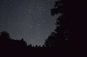 Many stars viewed from Montecristo Park in a clearing in the midst of dark trees in the night