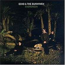 An album cover showing a car in a group of palm trees at night. Three men are leaning against the car: one sat down at the front-left corner of the car, on stood at the front-right of the car, and one stood at the right of the car. The band's name in white text is at the top of the cover, with the album's name just below also in white text.