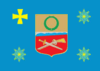 Flag of Kobeliaky Raion