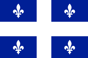 A rectangular flag with a blue background divided into quadrants by thick white lines. Each quadrant has a small white upright fleur-de-lis located in the center of the quadrant.