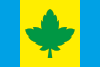 Flag of Yavoriv Raion