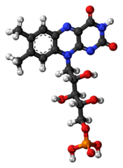 Ball-and-stick model of the flavin mononucleotide molecule