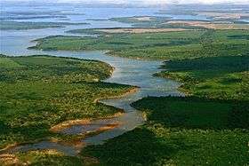 Low aerial view of Iberá Provincial Reserve