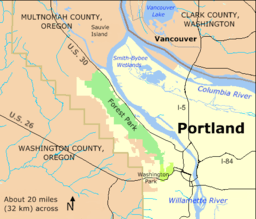 Forest Park runs parallel to the Willamette River and U.S. Route 30 from near downtown Portland northwest to near Sauvie Island. It is much longer than wide.