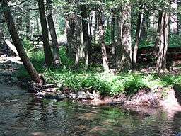 A stream flows in front of a bank with many trees and a picnic table