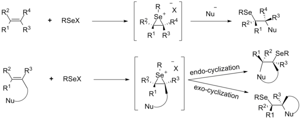 Functionalization of olefins using electrophilic organoselenium species