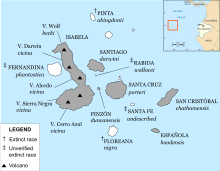 A map of the Galápagos with labels for names of the islands and their native species of tortoise
