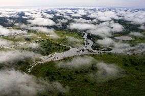 An overhead and cloudy view of a wide, swampy river with grassy plains on both sides.