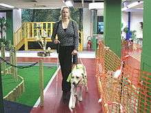 A light-colored Yellow Lab in a guide dog harness walks to the left of a woman with light blonde hair who is wearing black slacks and a gray sweater. She is holding onto the handle of the dog's harness with her left hand, holding a slim white cane in her left hand, and they both face the camera. To their right is what appears to be a simulated street curb with artificial grass. To their right is an orange barrier such as might be found at a construction site in a city.