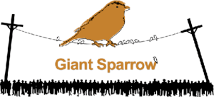 a large orange sparrow perched atop a telephone line