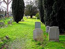 A small row of gravestones