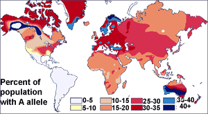 Multicolored world map