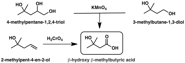 Graphic of the first synthetic routes to β-hydroxy β-methylbutyric acid
