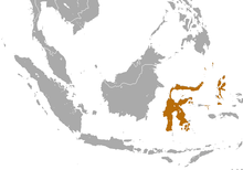 Sulawesi and Maluku