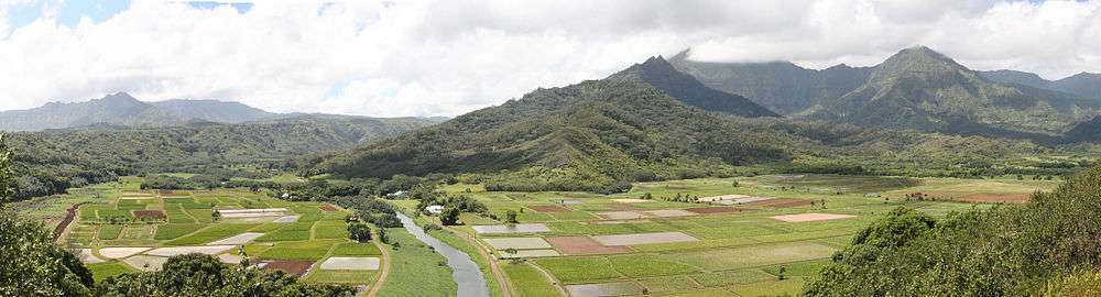 A view of the Hanalei Valley in Northern Kauaʻi. The Hanalei River runs through the valley and 60% of Hawai&#x02BB;i's taro is grown in its fields.