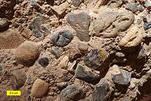 A brown-gray cobble conglomerate