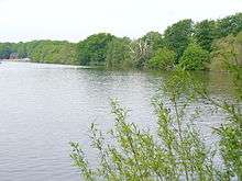A tree lined lake with mixed tree species surrounded by a grey water lake.