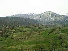 Panorama of green fields with rugged mountains in the background