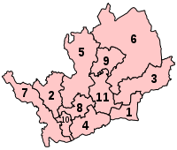A map of a county, divided into eleven constituencies