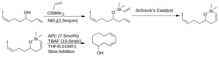 Hiyama coupling as a ring-closing reaction. Note, that there will be an 8 Carbonatom ring instead the shown 10-Carbon ring. (See the Paper)