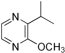 Chemical structure of isopropyl methoxy pyrazine