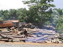 Tree trunks piled up in front of a forest background, with workers cutting them