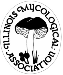 Illinois Mycological Association logo
