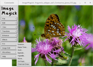 ImageMagick 6.0.6 in Knoppix 4.0.2