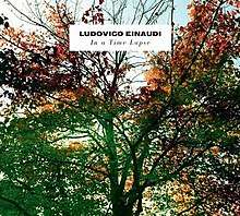 Front cover of the album showing a tree
