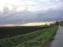 Flat ploughed field under a grey sky